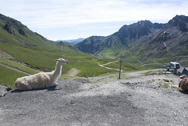 Une balade le long des plus belles routes de France