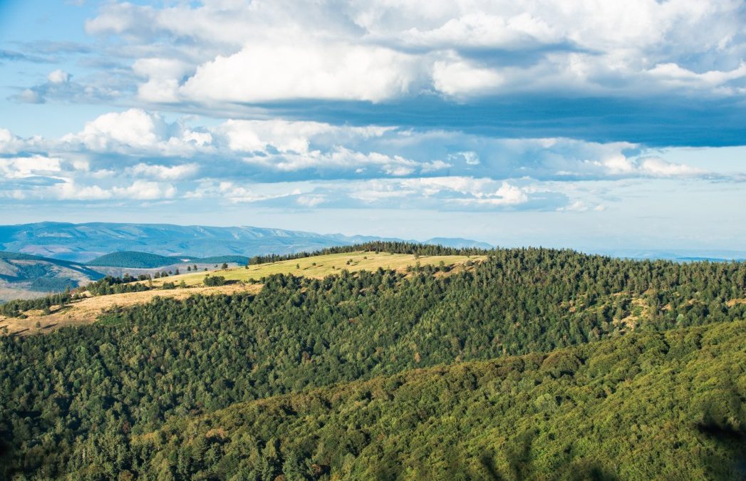 Tout ce qu’il faut savoir sur les Gorges du Tarn