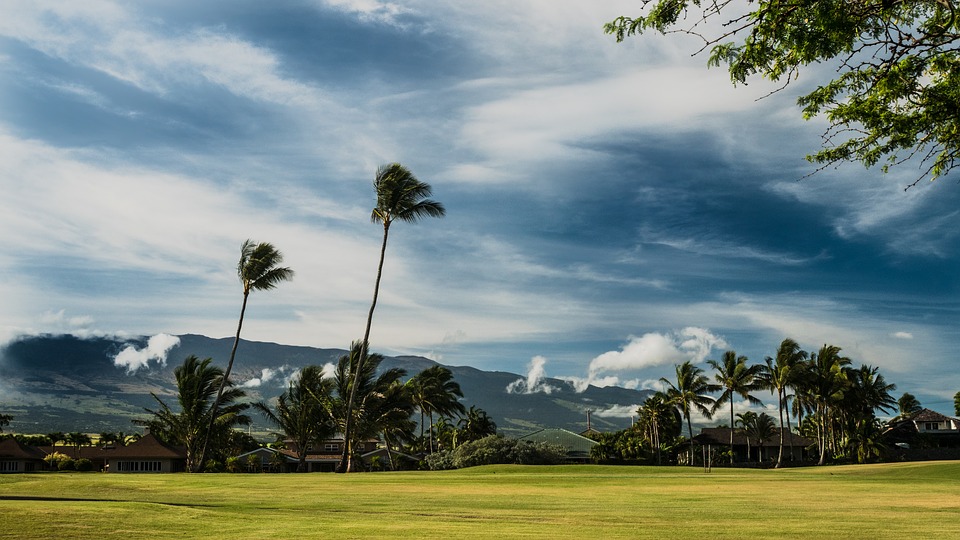 Maui, un nouveau paradis à Hawaï pour les touristes